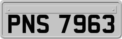 PNS7963
