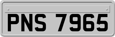 PNS7965
