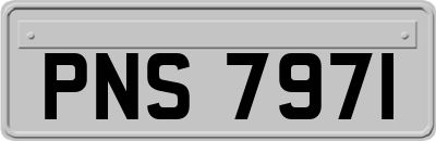 PNS7971