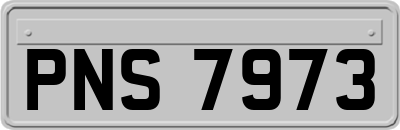 PNS7973