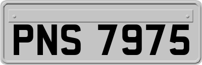 PNS7975