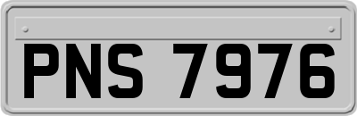 PNS7976