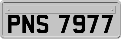 PNS7977