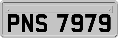 PNS7979