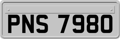PNS7980