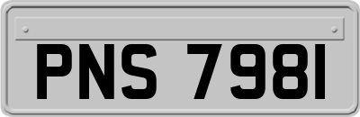 PNS7981
