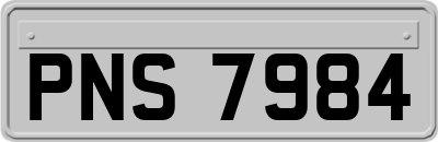 PNS7984