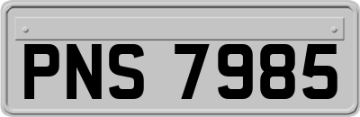 PNS7985