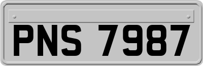 PNS7987