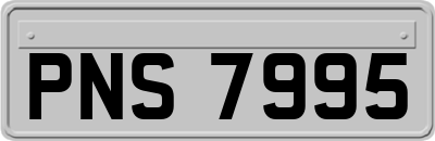 PNS7995
