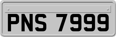 PNS7999