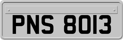 PNS8013
