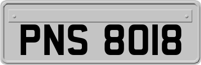 PNS8018