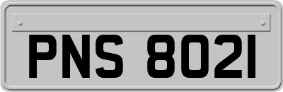 PNS8021