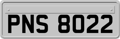PNS8022