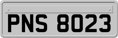 PNS8023