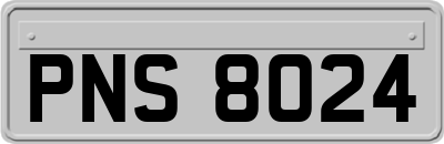 PNS8024