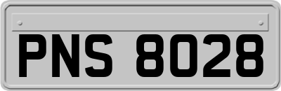 PNS8028