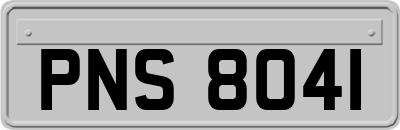 PNS8041