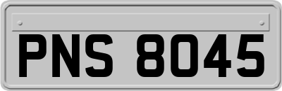PNS8045