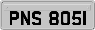 PNS8051