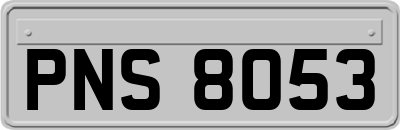 PNS8053