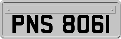 PNS8061
