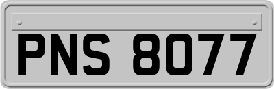 PNS8077