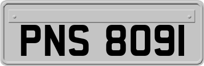 PNS8091