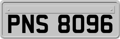PNS8096