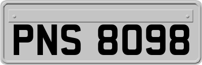 PNS8098