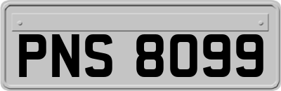 PNS8099