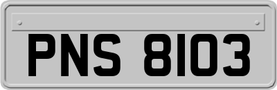 PNS8103
