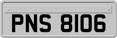 PNS8106