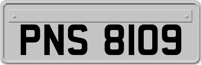PNS8109