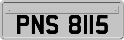 PNS8115