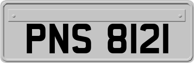 PNS8121