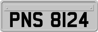 PNS8124