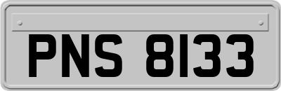 PNS8133