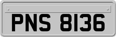 PNS8136