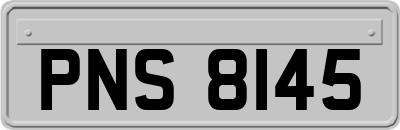 PNS8145