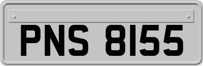 PNS8155
