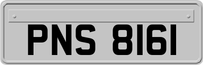 PNS8161