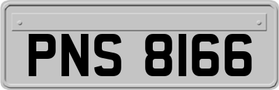 PNS8166