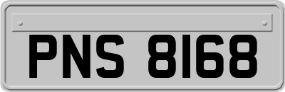 PNS8168