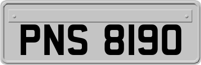 PNS8190