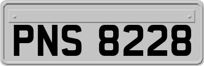 PNS8228