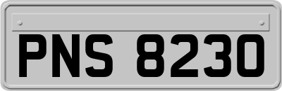 PNS8230