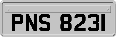 PNS8231