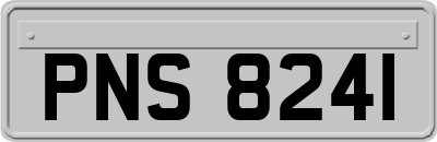 PNS8241